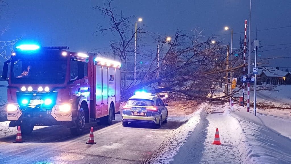 Powalone drzewo na torach kolejowych i drodze, służby ratunkowe na miejscu zdarzenia w zimowej scenerii.