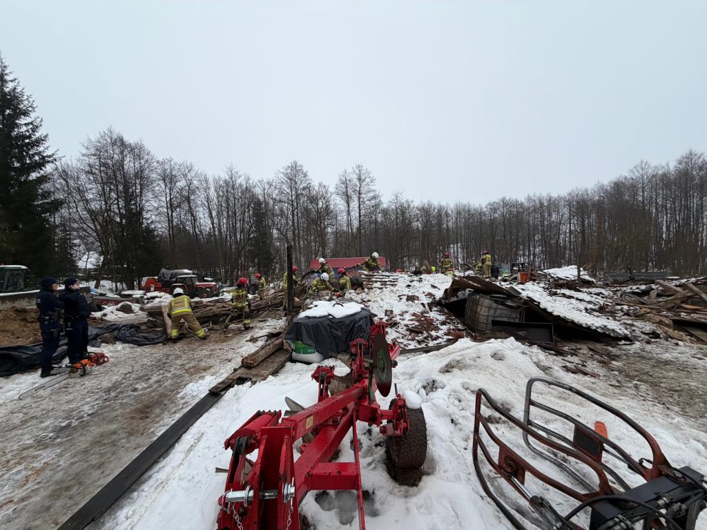 Strażacy ratunkowi wydobywają zwierzęta spod gruz&oacute;w zawalonego dachu stodoły w zimowej scenerii.