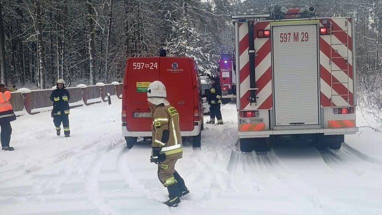 poparzenie w leśnicz&oacute;wce