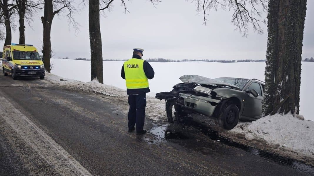 skoda rozbita o drzewo