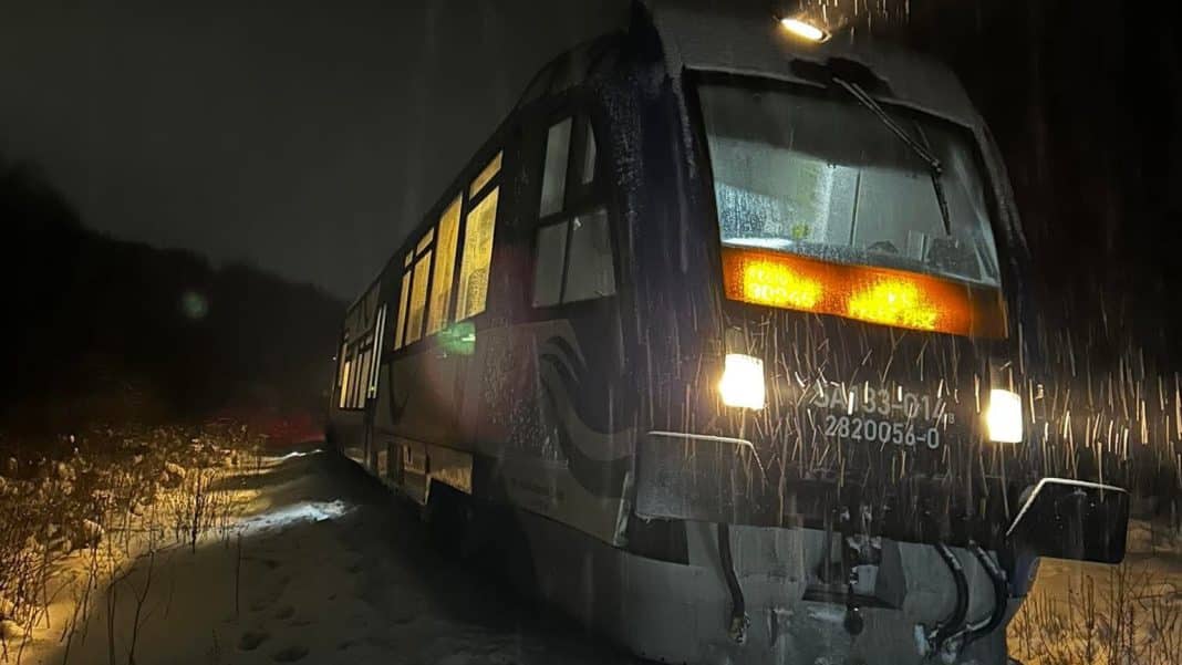 pociag uderzyl w losia