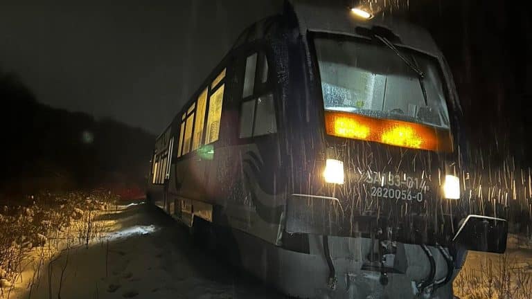 pociag uderzyl w losia