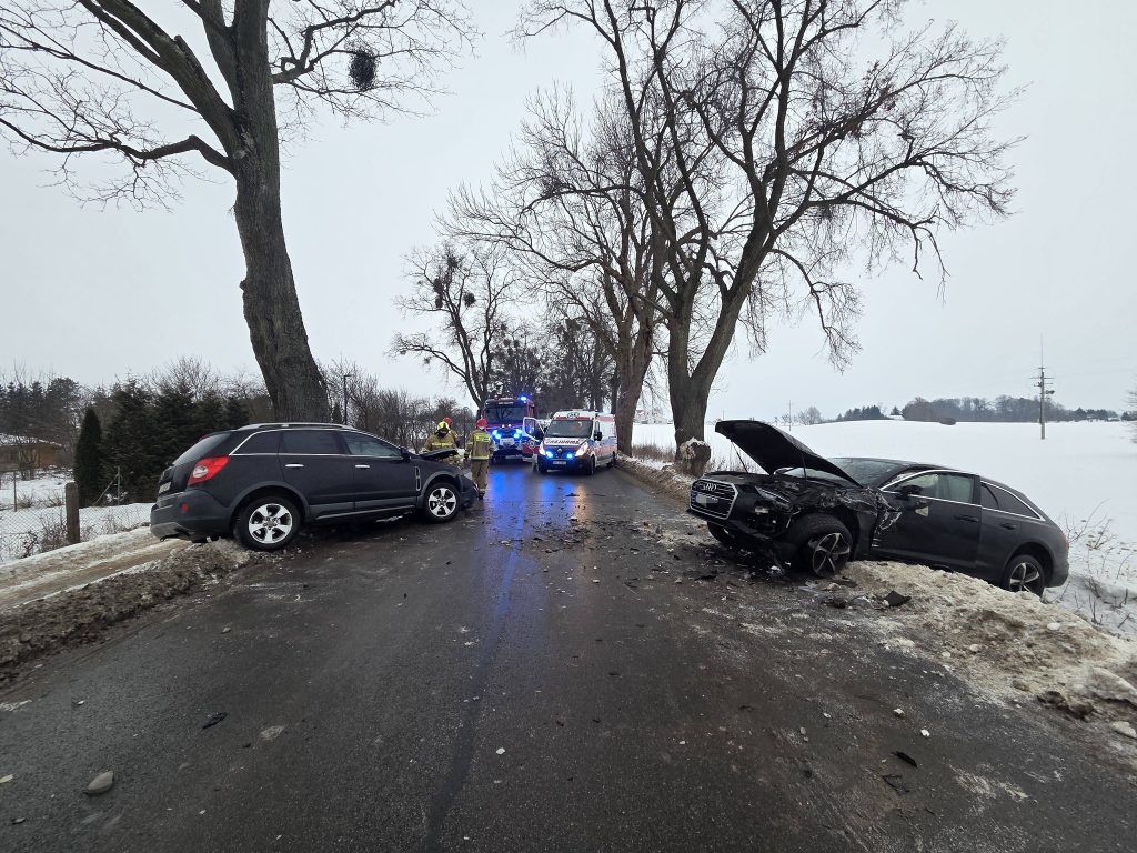 Na miejscu pojawiły się wszystkie służby. - Silne zderzenie Opla z Audi. Służby informują o stanie dorosłych i dziecka