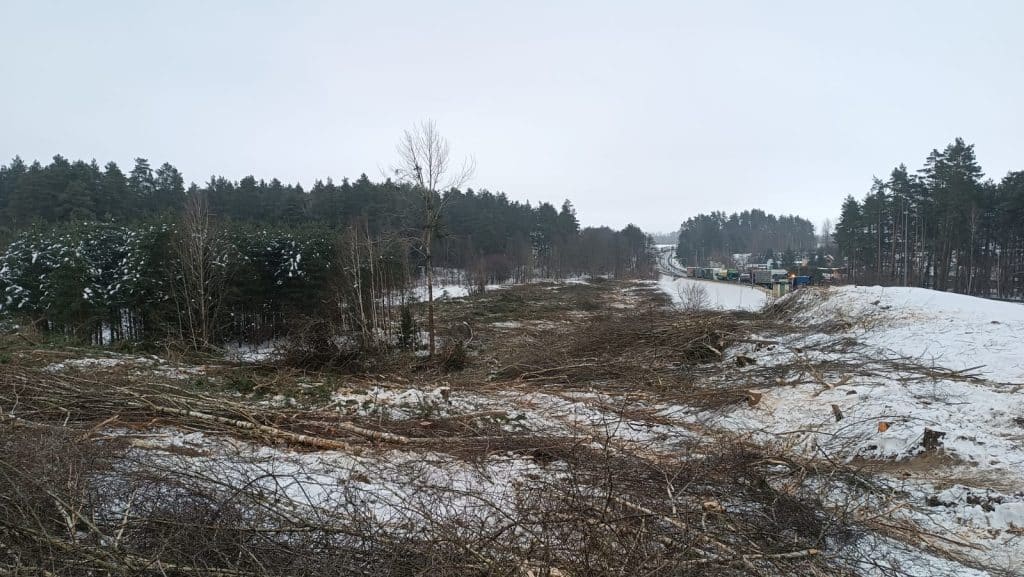 Wycinka drzew w zimowym krajobrazie