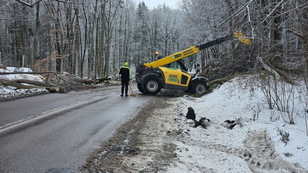 Pracownik obsługuje ciężki sprzęt podczas wycinki drzew na zimowym tle w lesie przy drodze w Olsztynie.