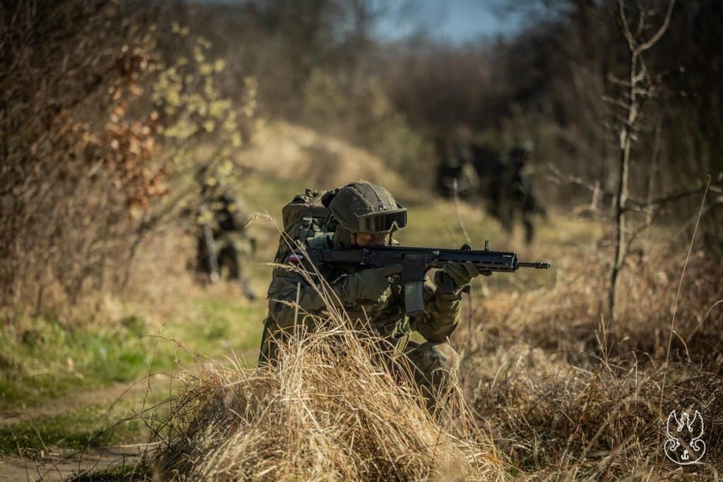 Żołnierz w kamuflażu z karabinem na tle lasu, ukryty za trawą i drzewami.