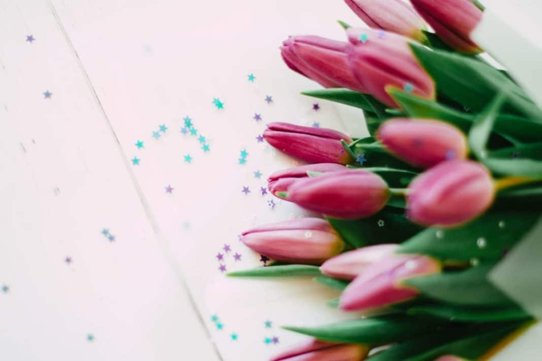 Bukiet r&oacute;żowych tulipan&oacute;w na białym tle z kolorowymi confetti.