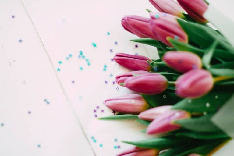 Bukiet r&oacute;żowych tulipan&oacute;w na białym tle z kolorowymi confetti.