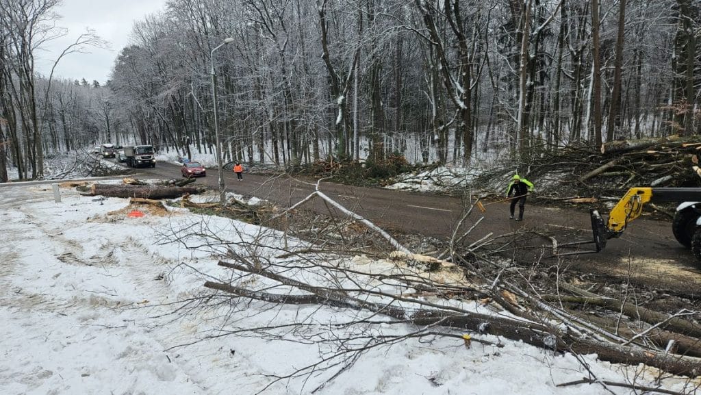 Wycinka drzew na drodze w Olsztynie, widoczne ciężkie maszyny i pracownicy w odblaskowych kamizelkach.