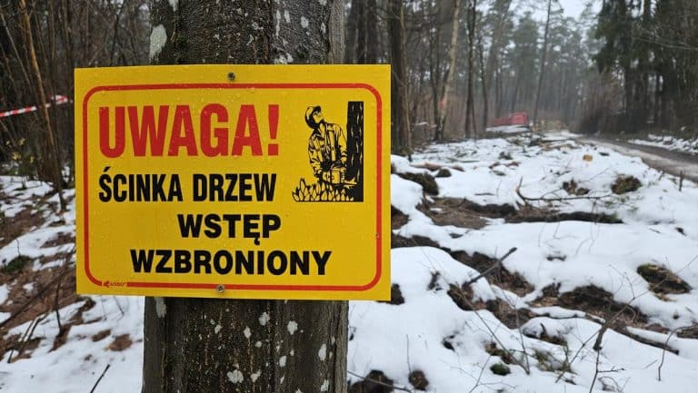 Zakaz wstępu, wycinka drzew