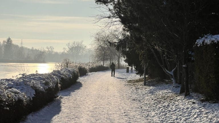 Zimowa scena nad jeziorem z osobą spacerującą po zaśnieżonym brzegu, drzewa i słońce w tle.