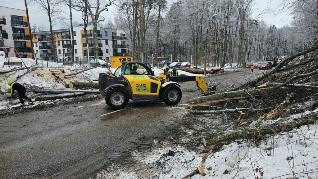 Ciężki sprzęt wycina drzewa na ulicy w Olsztynie, w tle nowoczesne budynki i zimowa sceneria.