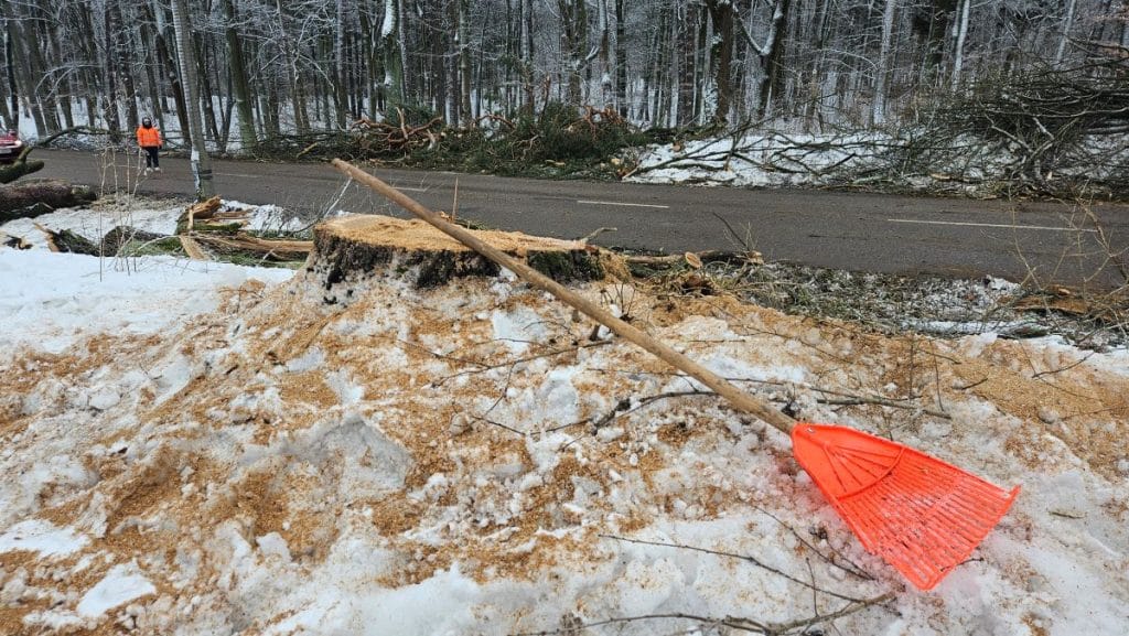 Wycinka drzew na tle lasu i drogi, na pierwszym planie widoczny usunięty pień i narzędzie do sprzątania.