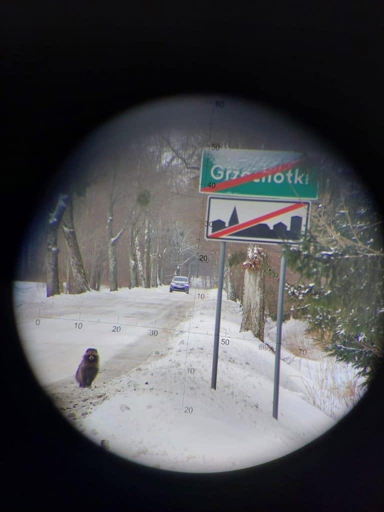 Zdjęcie z lornetki pokazujące śnieżną drogę, znak graniczny i jenota stojącego na śniegu.