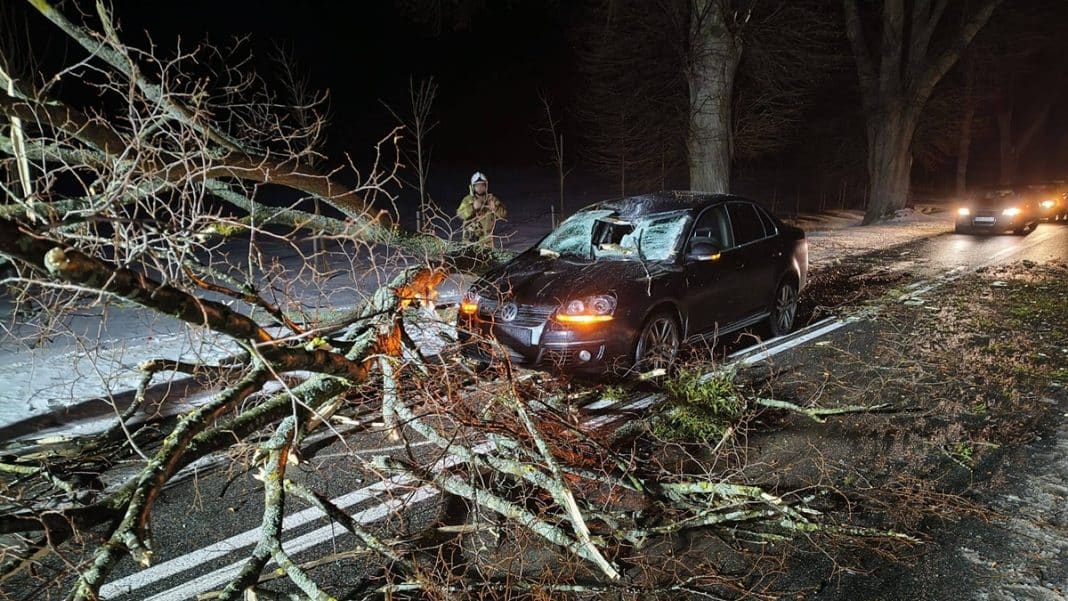 Samoch&oacute;d z konarem drzewa na drodze wojew&oacute;dzkiej, rodzina w środku, noc, służby ratunkowe na miejscu.
