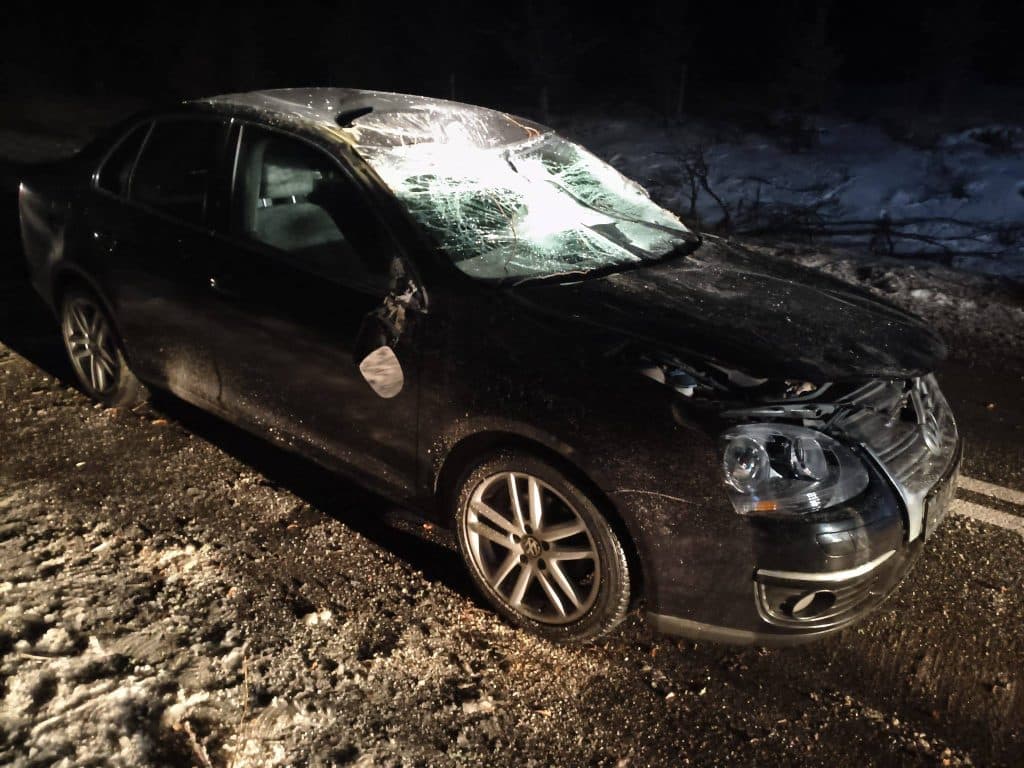 Uszkodzony samoch&oacute;d po wypadku pod drzewem na drodze wojew&oacute;dzkiej, z widocznym rozbitym przednim i bocznym szkłem.