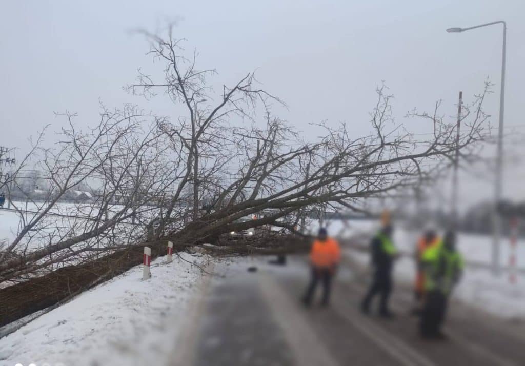 Przewr&oacute;cone drzewo blokuje drogę i przejazd kolejowy w miejscowości Siedliska.