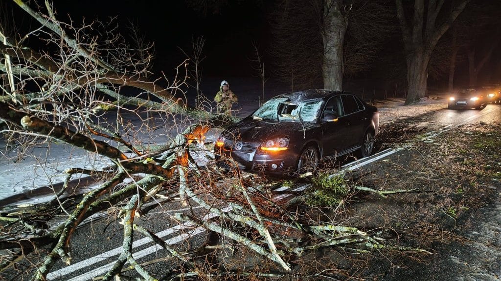 Samoch&oacute;d z konarem drzewa na drodze wojew&oacute;dzkiej, ratownik w tle, noc, uszkodzenia pojazdu.