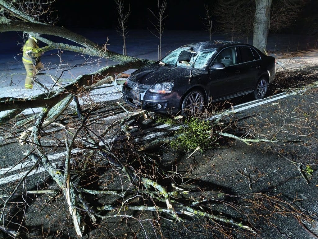 Samoch&oacute;d pod drzewem, kt&oacute;re spadło na drogę podczas burzy, z ratownikiem w akcji.