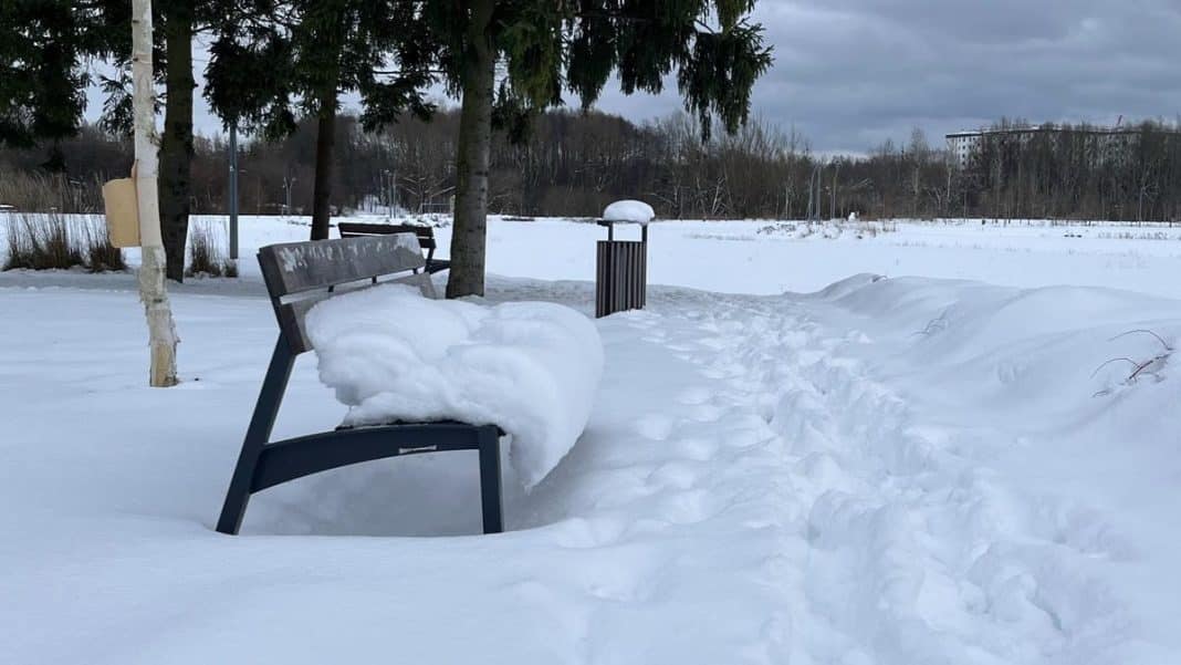 zima park nag&oacute;rki jaroty