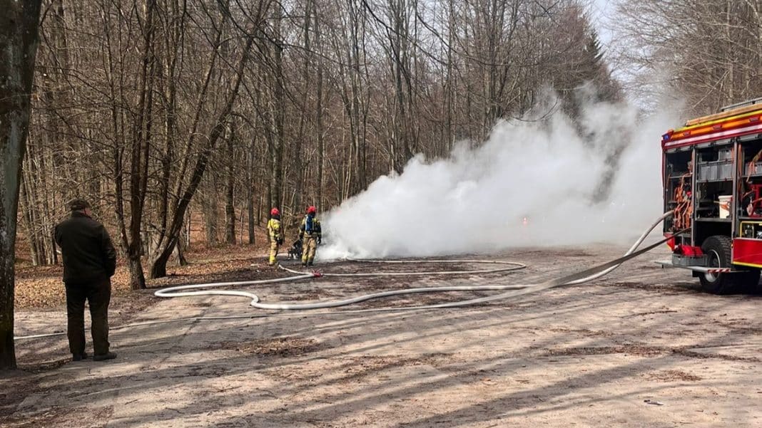 Strażacy gaszą pożar samochodu elektrycznego na parkingu w lesie, widoczna chmura dymu.