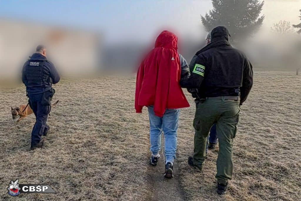 Funkcjonariusze CBŚP zatrzymują podejrzaną osobę podczas akcji w regionie.