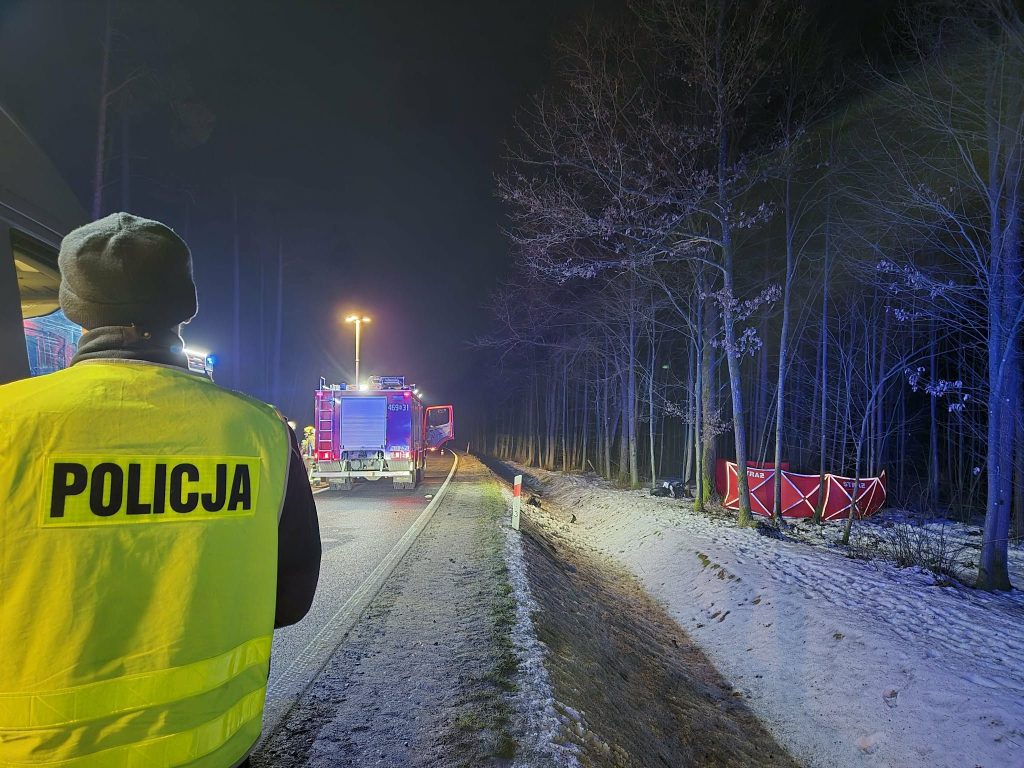 Policjant na drodze wojew&oacute;dzkiej podczas akcji ratunkowej po wypadku motocyklisty w nocy, w tle straż pożarna.