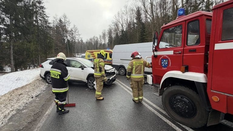 Zdjęcie z miejsca wypadku drogowego z udziałem Toyoty i Fiata, na drodze w pobliżu Płut, z ratownikami i strażakami.