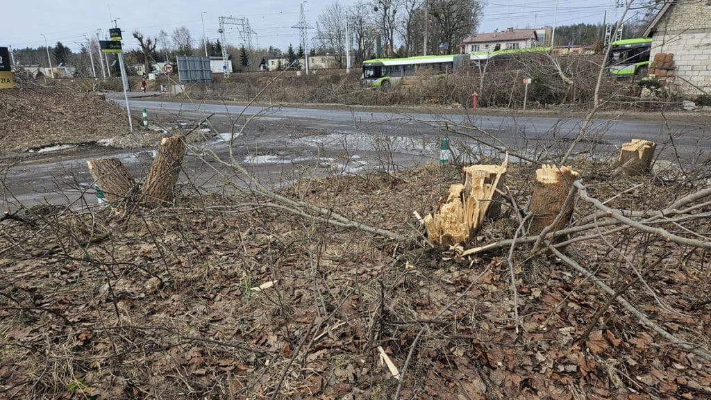 Przy drodze leżą ścięte drzewa i gałęzie, w tle autobusy i budynki, fragment wycinki drzew.