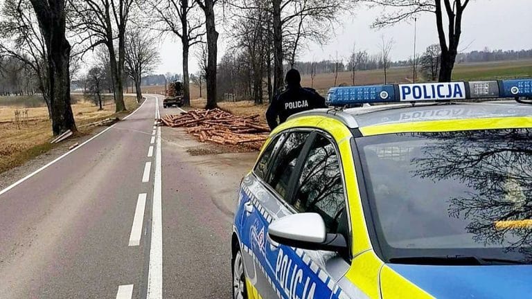 Na drodze wojew&oacute;dzkiej leżą rozrzucone kłody drewna po wypadku ciężar&oacute;wki, w tle policjant i radiow&oacute;z.