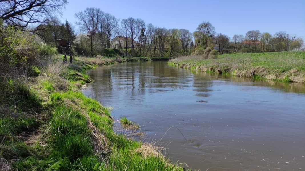 Rzeka w Olsztynie z zielonymi brzegami i domami w tle, w słoneczny dzień.