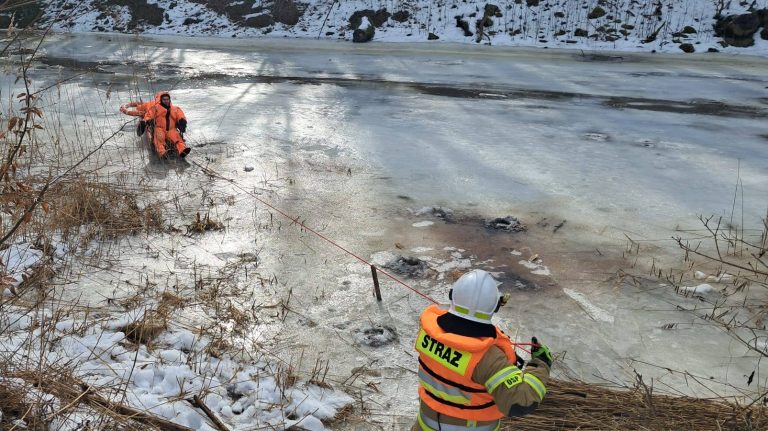 Ratownicy wyciągają mężczyznę z zamarzniętej rzeki Wałsza podczas akcji ratunkowej.
