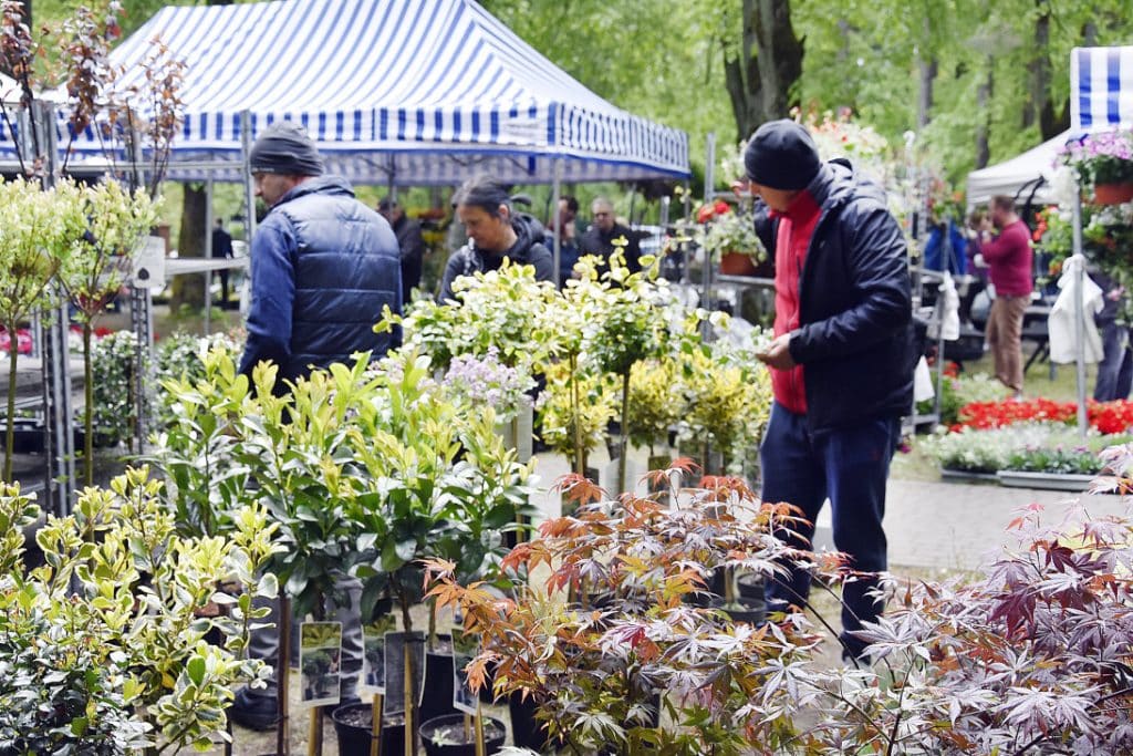 Tłum ludzi na targach ogrodniczych w Olsztynie, wybierają rośliny i kwiaty, pod parasolami i wśr&oacute;d zieleni.