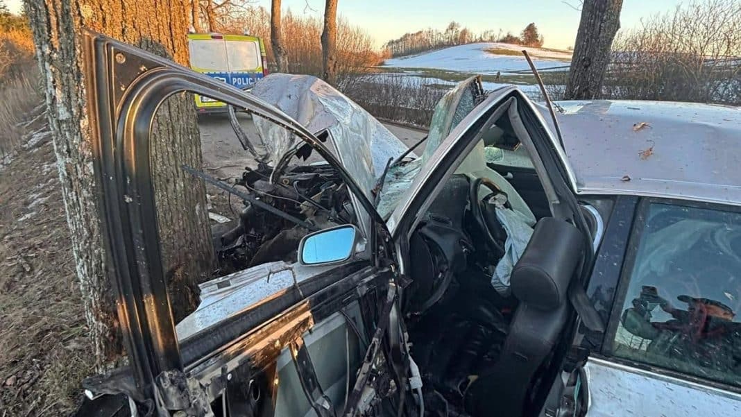 Rozbity samoch&oacute;d marki Audi po wypadku, uderzony w drzewo na poboczu drogi.