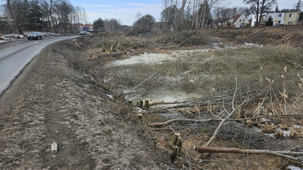 Zdjęcie przedstawia rozkopaną i zniszczoną część drogi z powalonymi drzewami i uszkodzonym brzegiem.