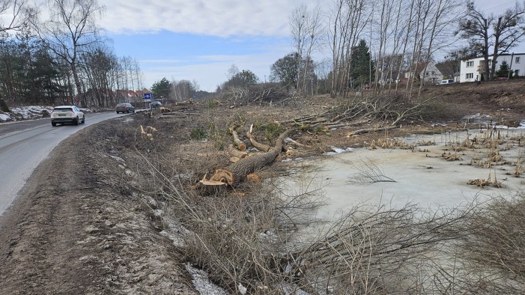 Zdjęcie przedstawia uszkodzoną brzegową część drogi z powalonymi drzewami i zamarzniętym jeziorem w tle.