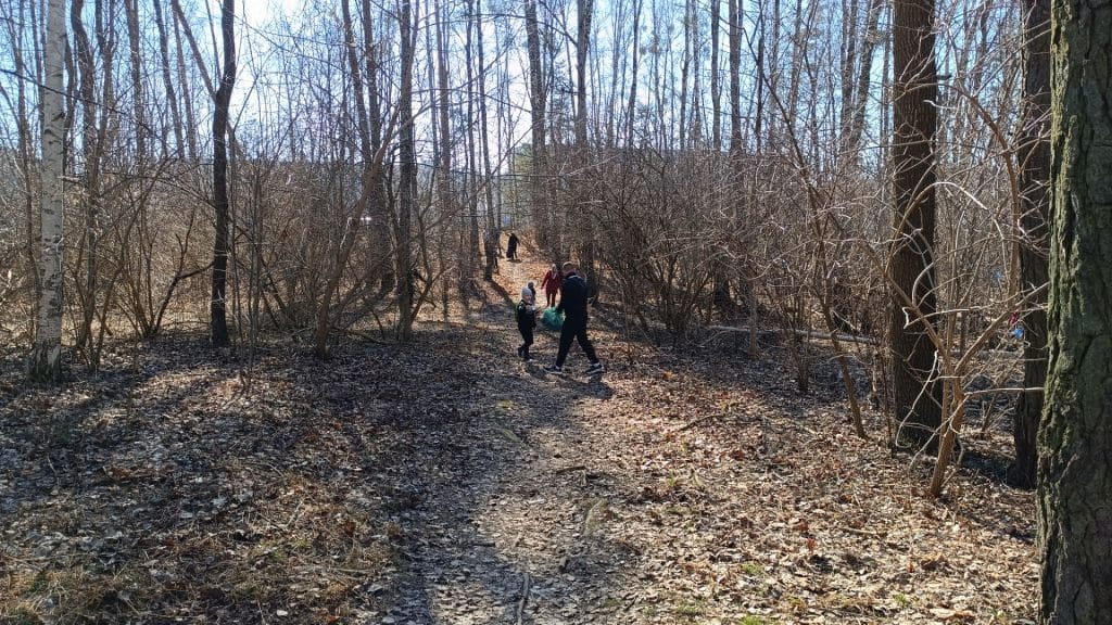 Grupa mieszkańc&oacute;w i prezydent Olsztyna sprzątają las w słoneczny dzień.