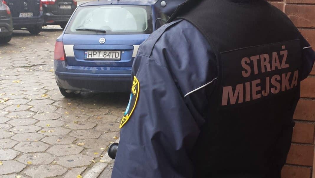 Strażnik miejski stoi na tle zaparkowanego samochodu na kostkowej nawierzchni, w tle inne pojazdy.