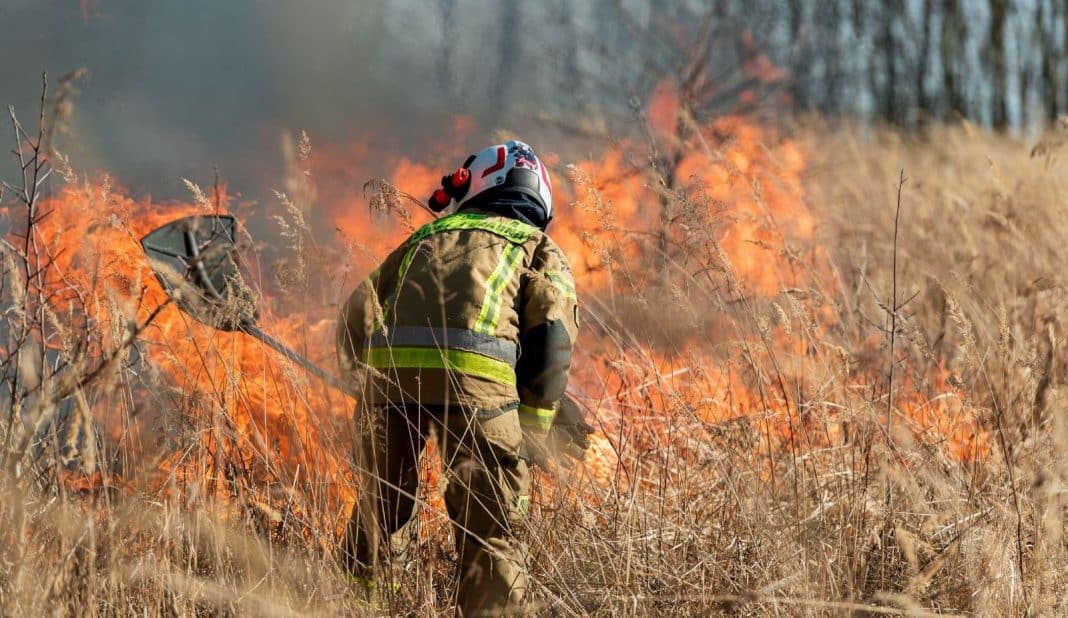 Strażak gaszący pożar traw na suchym polu, w tle płomienie i dym.