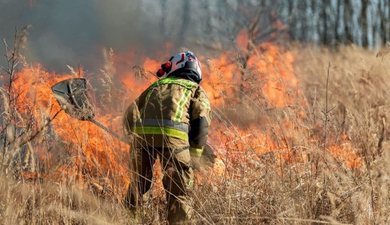 Strażak gaszący pożar traw na suchym polu, w tle płomienie i dym.