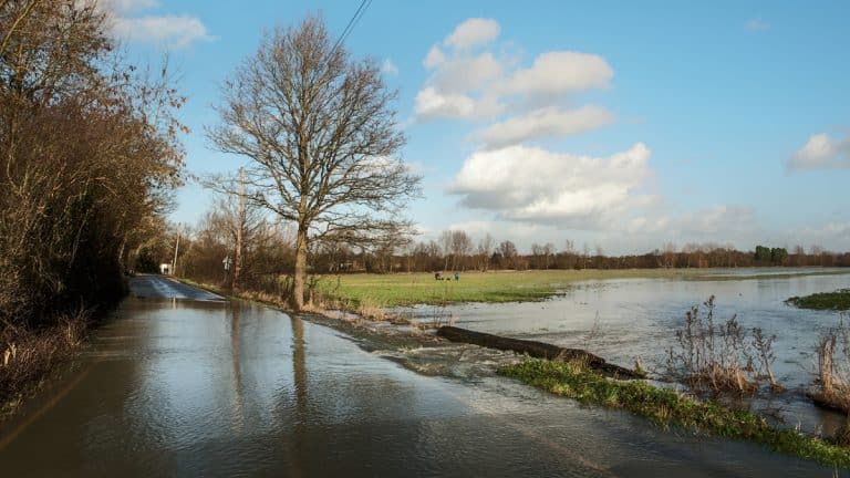 Woda zalewa drogę i pola w regionie, przekraczając stan alarmowy na rzece Guber.