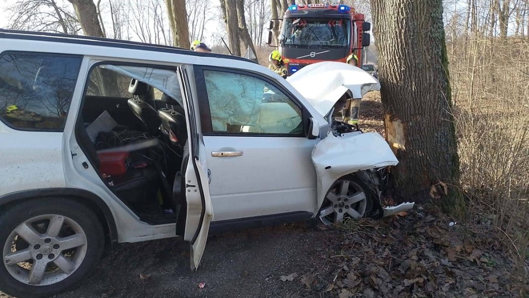 Samoch&oacute;d uderzył w drzewo na drodze wojew&oacute;dzkiej, na miejscu służby ratunkowe.