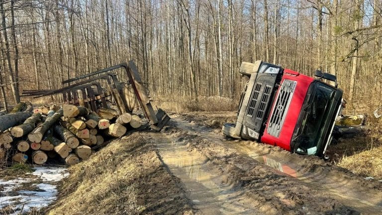 Ciężar&oacute;wka przewr&oacute;cona na boku na leśnej drodze, obok stos drewna, w pobliżu lasu.
