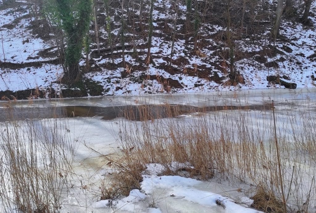 Mężczyźni wpadli do zamarzniętej rzeki Wałsza podczas prac w zimowym lesie.