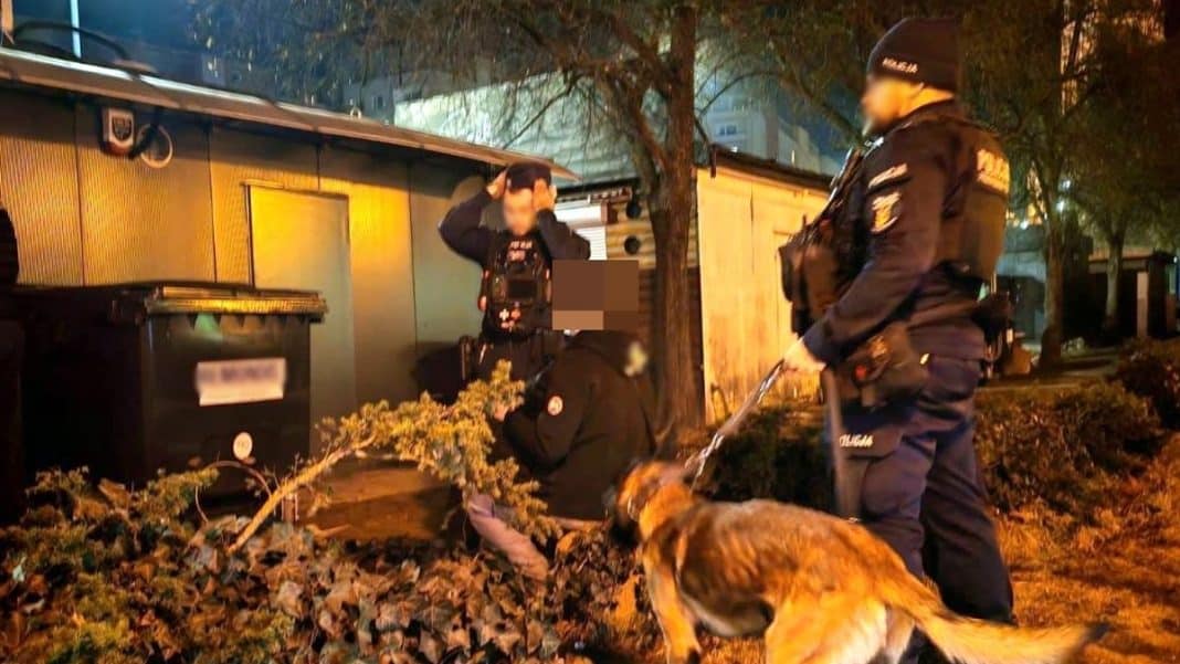 Policjanci z psami podczas nocnej obławy na terenie firmy w gminie Stawiguda.