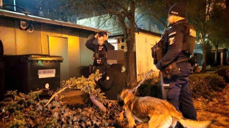 Policjanci z psami podczas nocnej obławy na terenie firmy w gminie Stawiguda.