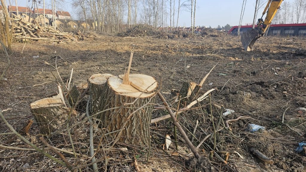 Wycinka drzew na osiedlu Jaroty w Olsztynie, teren przygotowany pod budowę nowej siedziby CBZC.