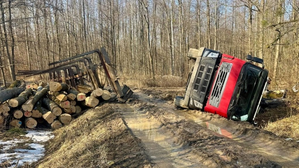 Ciężar&oacute;wka przewr&oacute;cona na leśnej drodze, obok stosu drewna, w błotnistej scenerii.