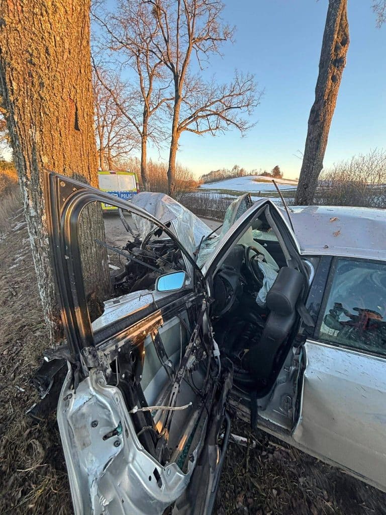 Rozbity samoch&oacute;d marki Audi po wypadku z drzewem na poboczu drogi.