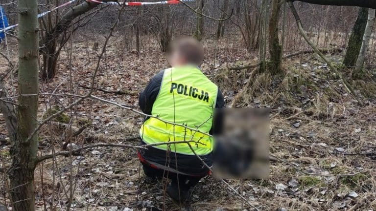 Policjantka bada ciało mężczyzny w lesie, otoczone drzewami i suchą trawą.